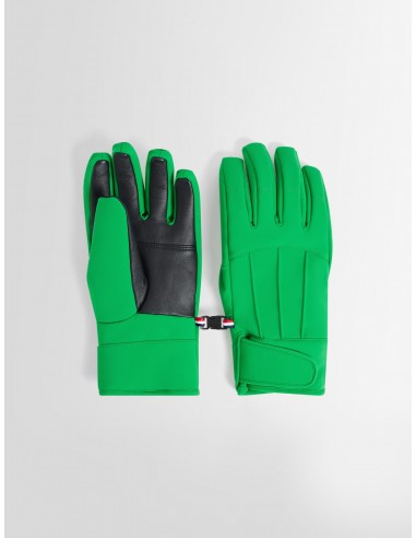 GANTS GLACIER M GLOVE de France